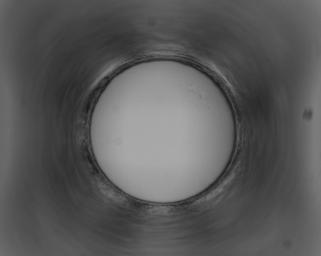 X0000094791211200711160908