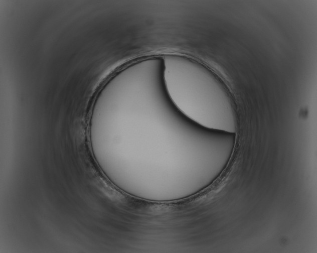 X0000094791212200711160908