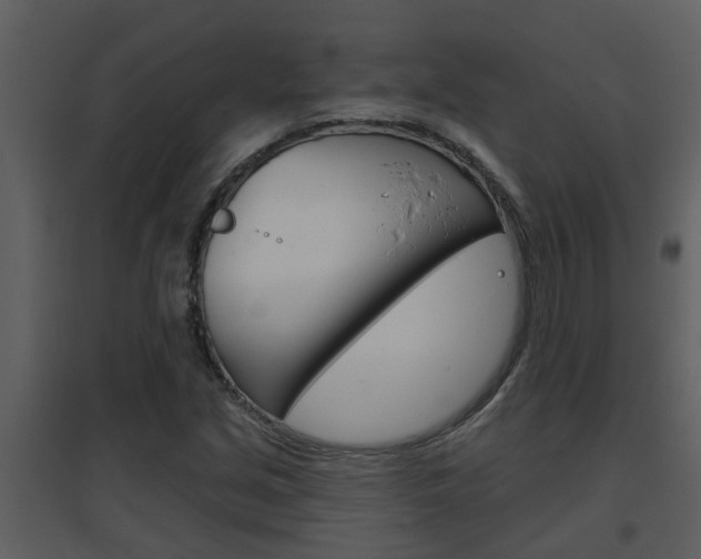 X0000094791213200711160908