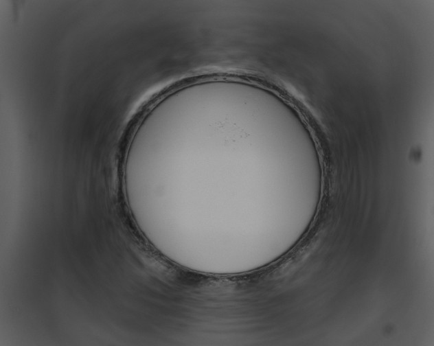 X0000094791214200711160908