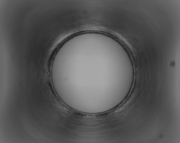 X0000094791215200711160908