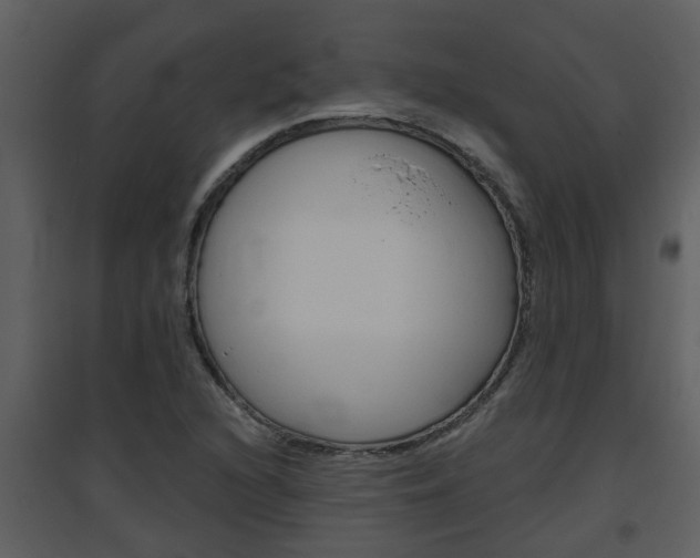 X0000094791216200711160908
