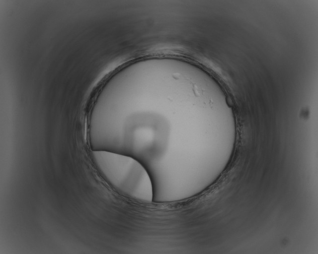 X0000094791219200711160908
