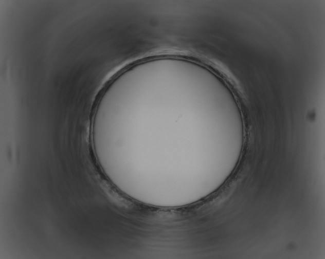 X0000094791220200711160908