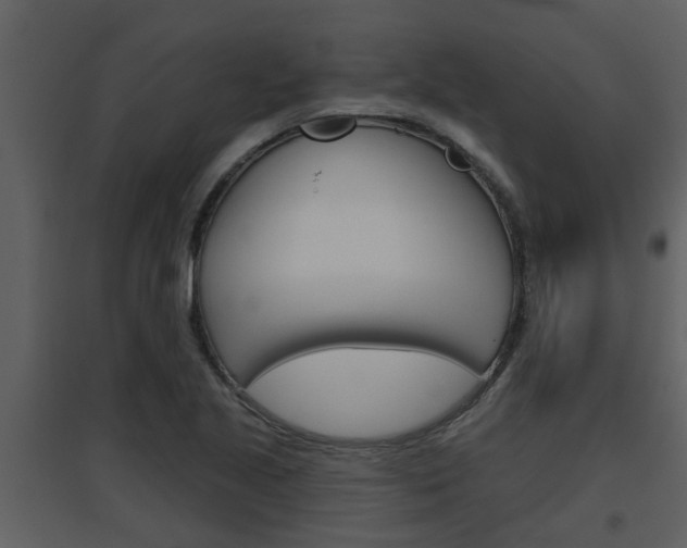 X0000094791221200711160908