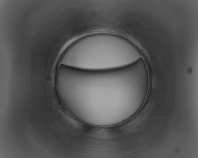 X0000094791222200711160909