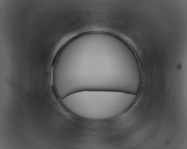 X0000094791223200711160909