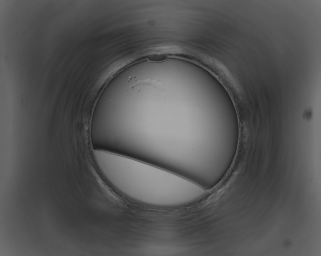 X0000094791225200711160909