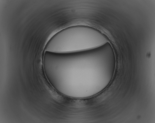 X0000094791226200711160909