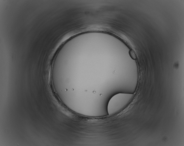 X0000094791227200711160909