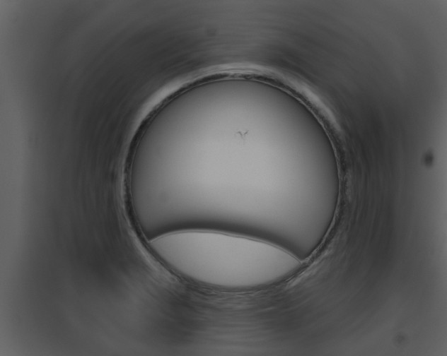 X0000094791229200711160909