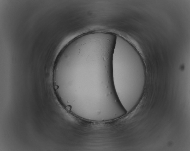 X0000094791231200711160909