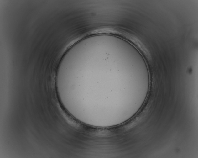 X0000094791233200711160909