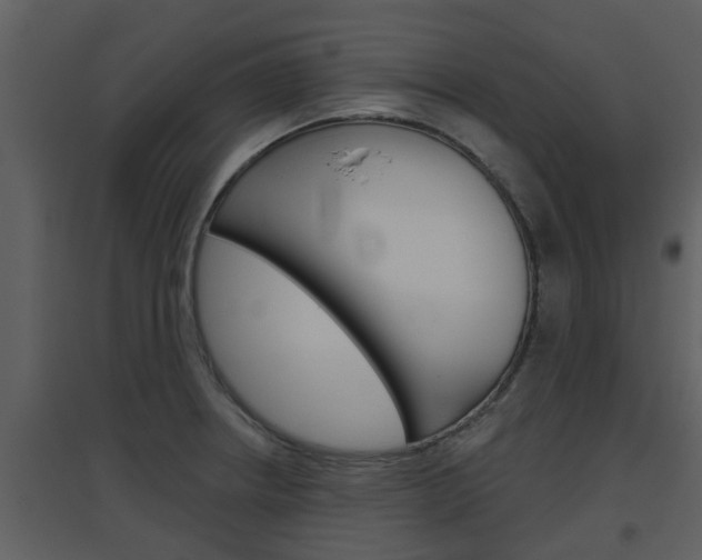X0000094791234200711160909
