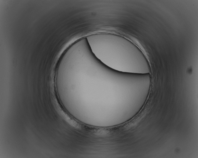 X0000094791235200711160909