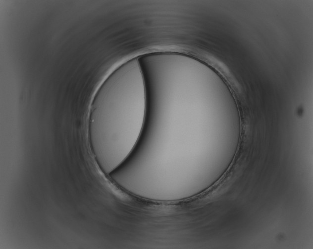 X0000094791236200711160909