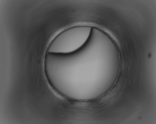 X0000094791237200711160909