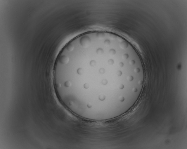 X0000094791239200711160909