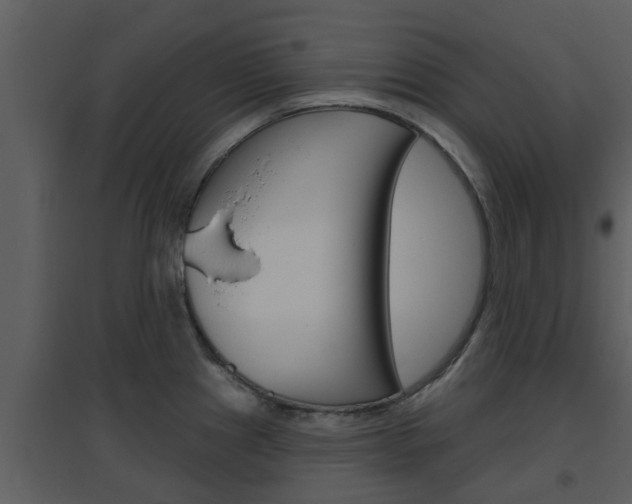 X0000094791241200711160909