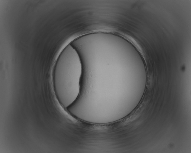 X0000094791243200711160909