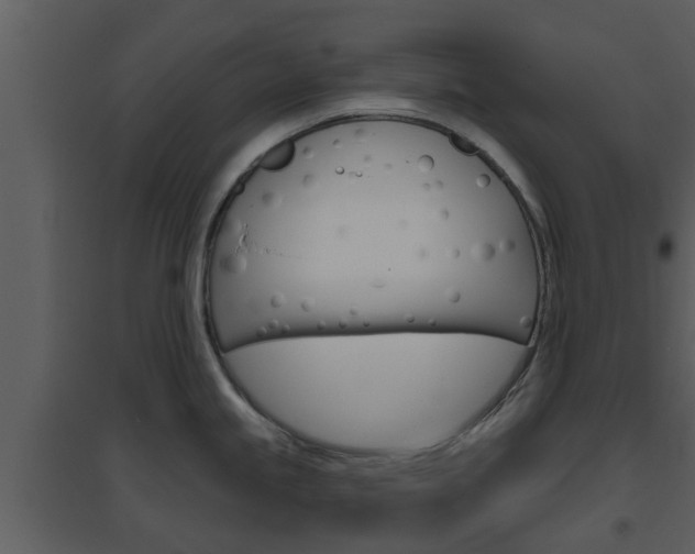 X0000094791245200711160909