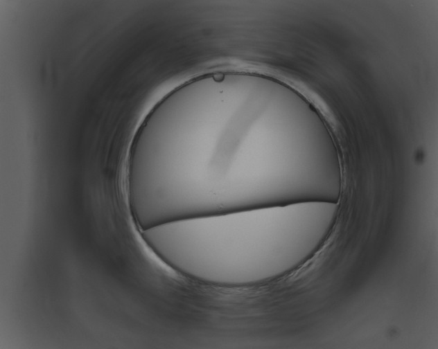 X0000094791247200711160909