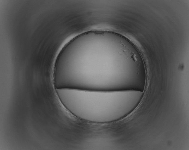 X0000094791248200711160909
