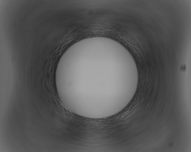X0000094791249200711160908