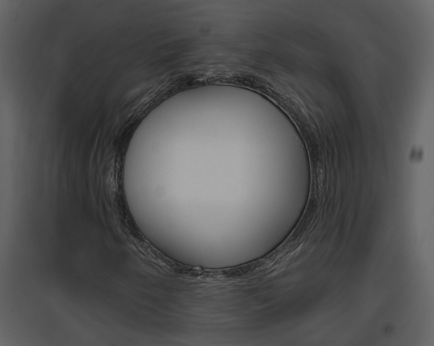 X0000094791250200711160908