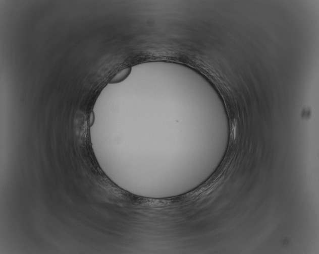 X0000094791251200711160908