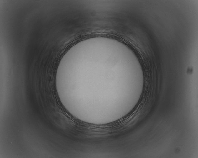 X0000094791252200711160908