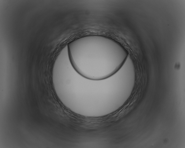 X0000094791253200711160908