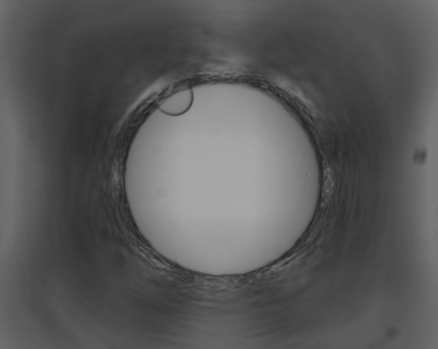 X0000094791254200711160908