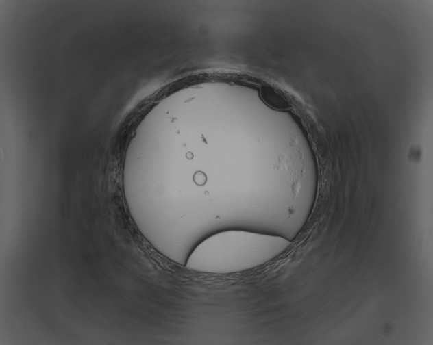 X0000094791255200711160908