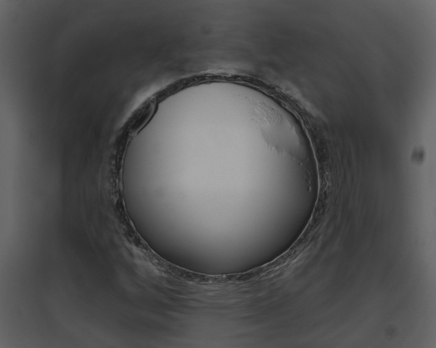 X0000094791256200711160908