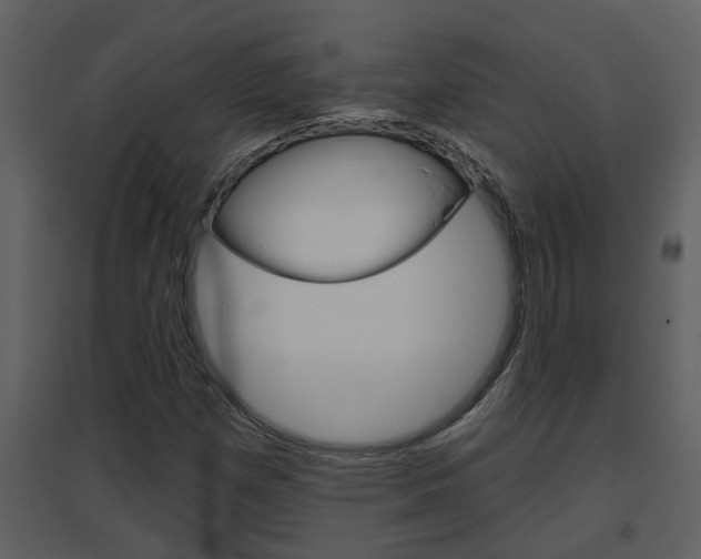 X0000094791257200711160908