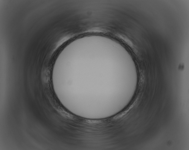 X0000094791258200711160908