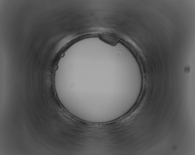 X0000094791259200711160908
