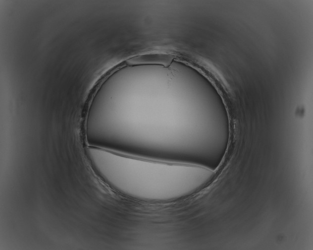 X0000094791260200711160908