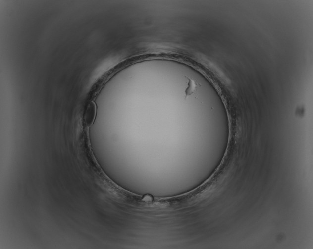 X0000094791261200711160908