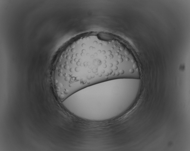 X0000094791263200711160908