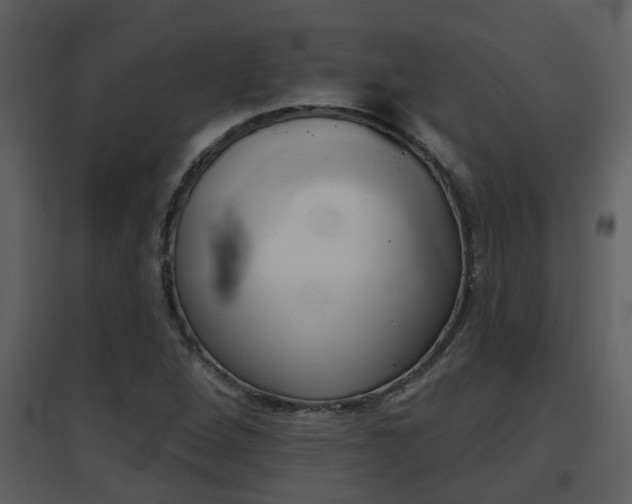 X0000094791264200711160908
