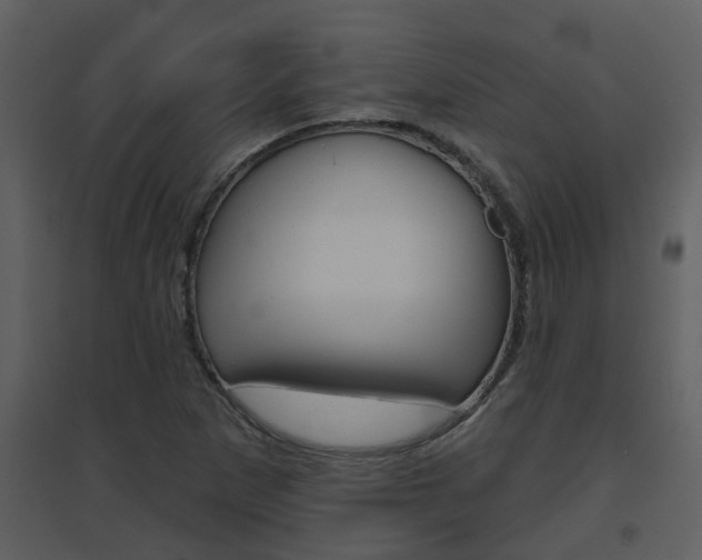 X0000094791265200711160908