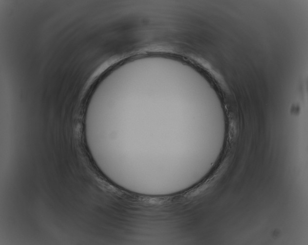X0000094791266200711160908