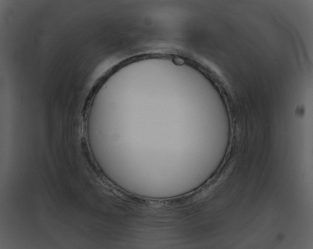 X0000094791267200711160908