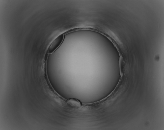 X0000094791268200711160908