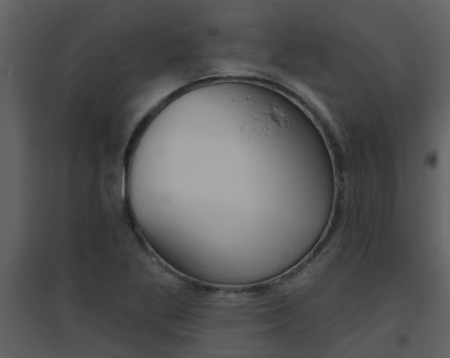 X0000094791269200711160908