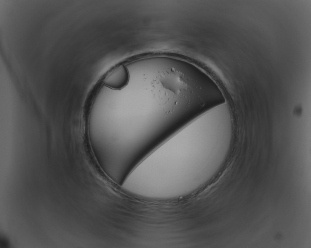 X0000094791270200711160908