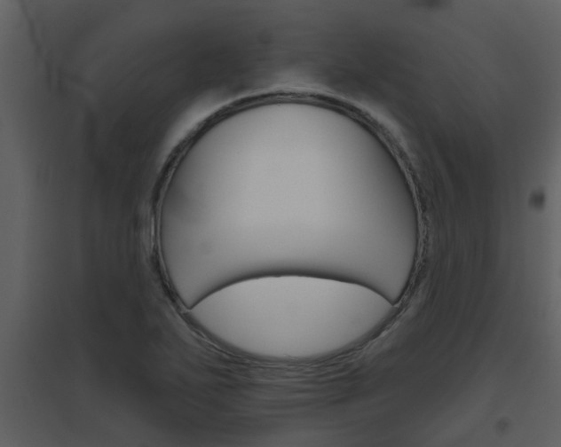 X0000094791271200711160908