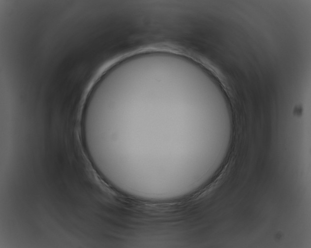 X0000094791272200711160908